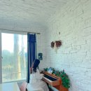 모아니스테이 이미지