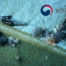 (주)천지인바이오텍 이미지