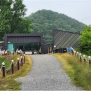 코스모스부동산중개 | 초평밤나무 캠핑장, 솔캠과 커플캠을 즐기다 1