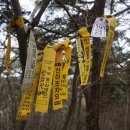 갈산제일 이미지