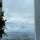 브라운베이글수원 이미지