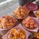 형준농장 이미지