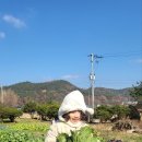 옐로우힐링협동조합 이미지