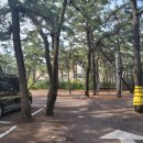 코모도호텔 포항 송도 이미지