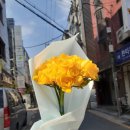 프렌치아 - 부천시 오정구 산업로7번길 63 | 프렌치아
