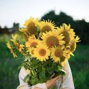 만평공인중개사사무소 이미지