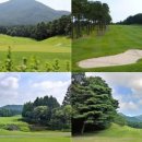 현충원로(유성-18) 이미지