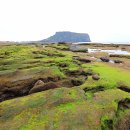 금성LPG충전소 | 직접 다녀온 제주도 카페 추천 리스트 괜찮았던 곳들