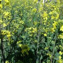 헤어리더 이미지