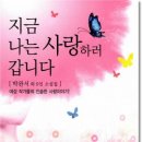 사랑예감 이미지