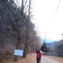 가리산농장 이미지