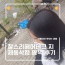 지제동삭2로 | 평택 미용실 추천] 찰스리헤어테크 지제동삭점 새치 염색 후기: 얼룩 제거와 힐링 스파까지!