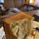 평화티슈 이미지