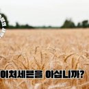 삼육네이처세븐 이미지