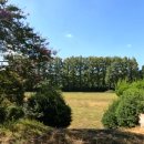 장성신흥중학교 이미지