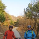 일MTB 이미지
