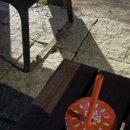 말탕개미공원 이미지