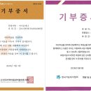 푸른날 Daum카페