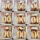 덤피(Dumpy) 이미지