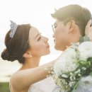 디샵;센티멘탈시너리