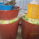 김종섭농장 이미지