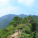 쌍용아파트 중산마을입구 이미지