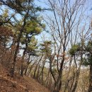 만월쉼터 이미지