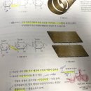 식물 세포벽 셀룰로오스 구조 관련한 질문입니다. 1권 263페이지 이미지