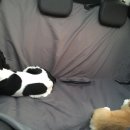 화이트 클라우드 이미지