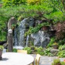 노온사동 365 이미지