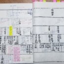 성화보(成化譜)를 통해 살펴본 조선 전기 사회상과 족보의 체제 개선 방향