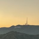 LA 그리피스 천문대 / godfrey hollywood hotel 식당 ALK 방문 후기
