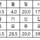 용신31 이미지