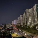 매교역사거리 8번출구 이미지