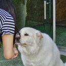 광양 불고기집 이미지