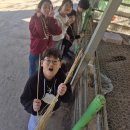 지산초등학교 | 밀양 치즈스토리 방문 후기 🧀🍕 단체 견학 완전 추천!