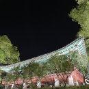 활기찬아침태조 | 전주 한옥마을 1박2일 가족여행 코스｜오목대 야경부터 경기전, 전동성당