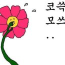 온나게장 이미지