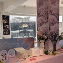 5108 | 경기도 양주 가볼만한곳 벚꽃 보고 들르기 좋은 브루다베이커리 후기