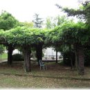 청경초등학교 이미지