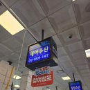 일번수산 | 노량진 수산시장 세아수산 광어회 행사 후기｜일번지회양념 오징어회·매운탕까지