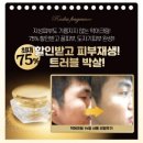 루디아 이미지