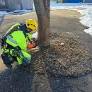 내토경로당 이미지