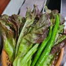 맷돌가든 이미지