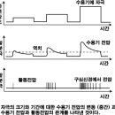 플루즈