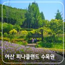 아산 가볼만한곳 데이트 명소 피나클랜드 수목원 매력 포인트