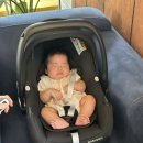 미카 | 맥시코시 미카 360 프로 카시트 후기｜신생아부터 21개월까지 사용한 솔직 리뷰