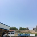 홍성점기아오토큐 이미지