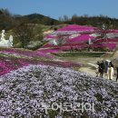 꽃가야 이미지