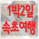 1박2일 속초여행 눈과 입 모두 즐겁다 이미지